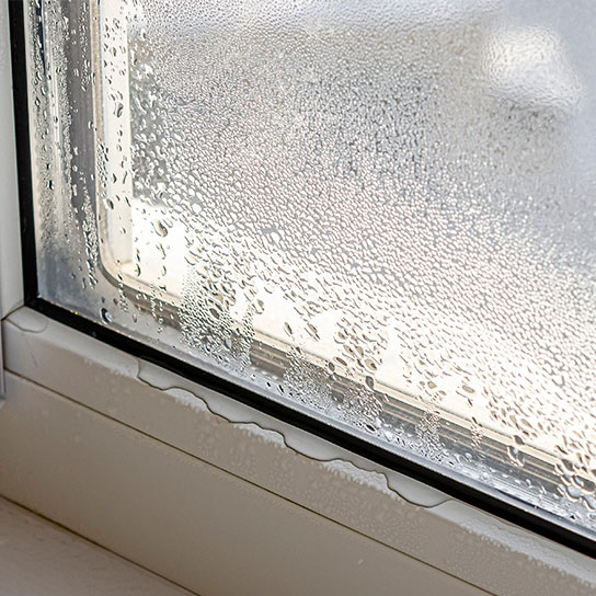 Condensation built up on the window from high interior humidity